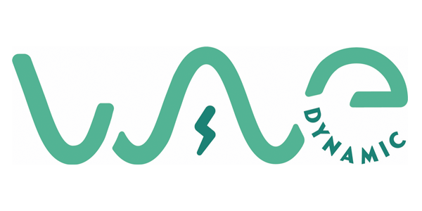 wave_dynamic
